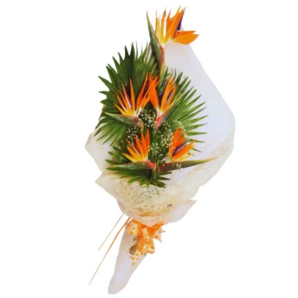 An Exotic Bouquet of 5 Birds of Paradise