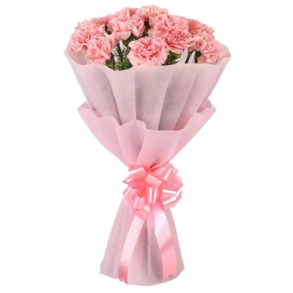 A Premium Bouquet of 9 Pink Carnations
