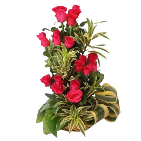 A Designer Basket Arrangement 20 Red Roses
