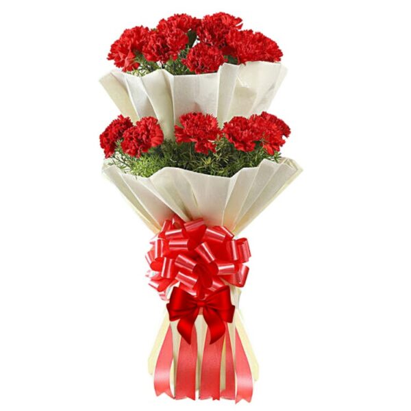 A Premium Bouquet of 21 Red Carnations