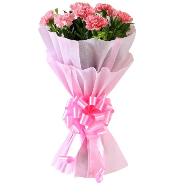 A Premium Bouquet of 8 Pink Carnations