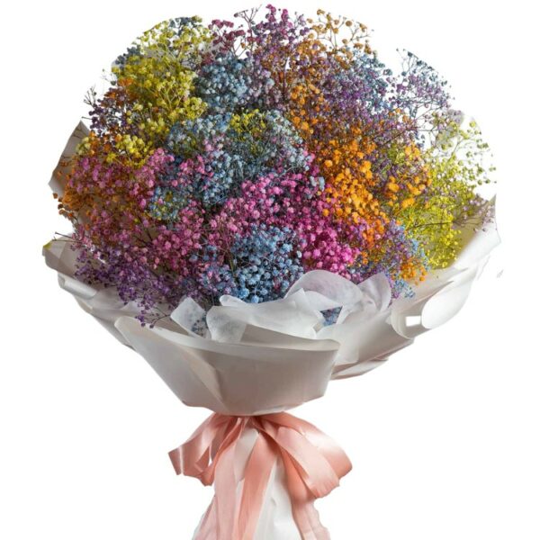 A Luxurious & Premium Bouquet of Rainbow Color Gypsophila's