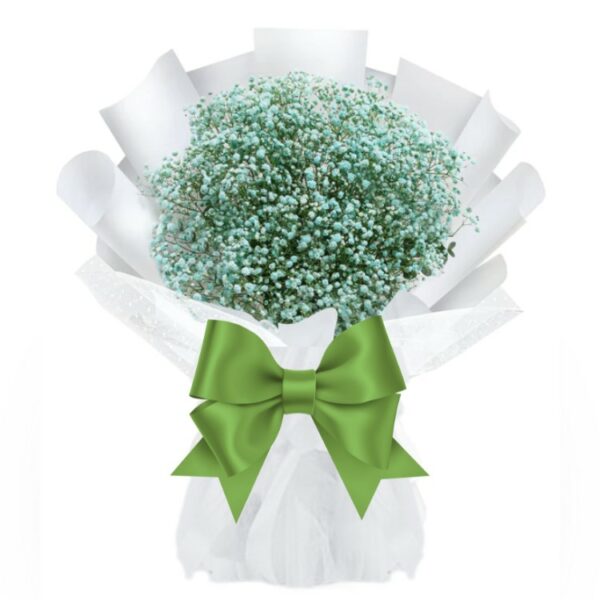 A Luxurious & Premium Bouquet of Green Color Gypsophila's