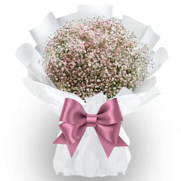 A Luxurious & Premium Bouquet of Pink Color Gypsophila's