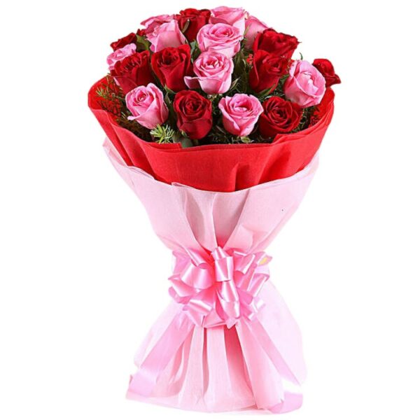 A Fancy Bunch of 20 Red & Pink Color Roses