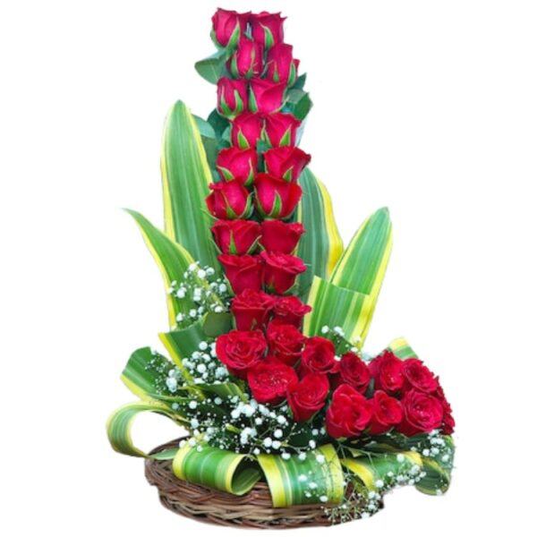 A Beautiful Designer Basket of 30 Red Roses