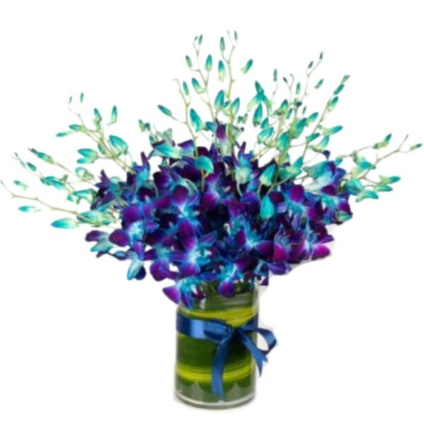 Blue Orchids Designer Arrangement in Glass Vase