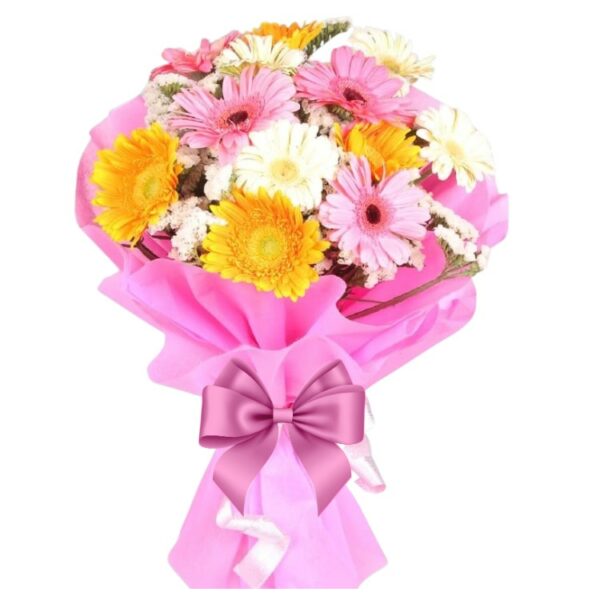 12 Mix Color Gerberas Elegant Bunch
