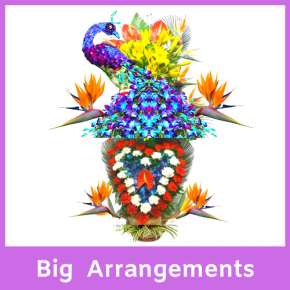 6 - Big Arrangements