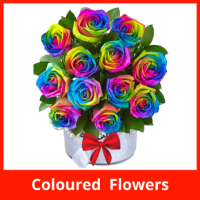 7 - Coloured Flowers