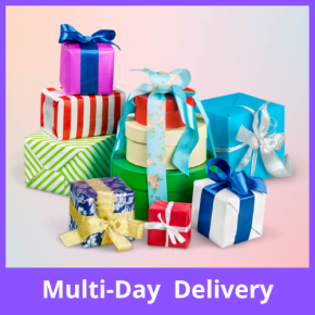 Multi-Day Delivery (2)